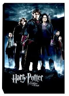 Harry Potter &gt; Goblet Of Fire Canvas Art - figurineforall.com