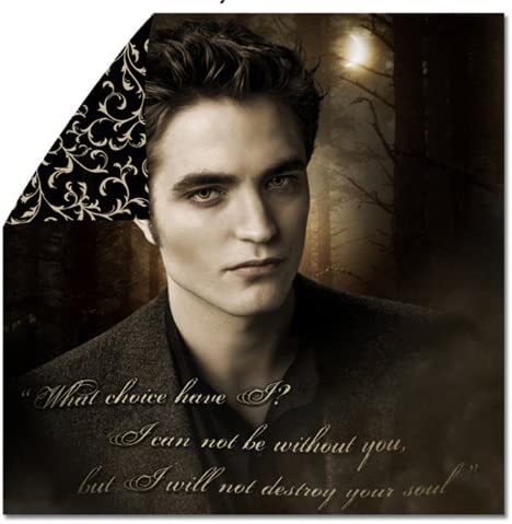 NECA Twilight New Moon Edward: Destroy Your Soul Duvet Cover Edward - figurineforall.com