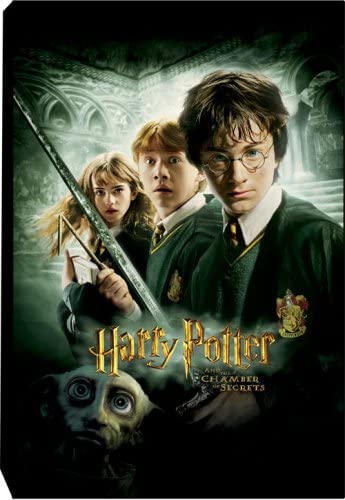 Harry Potter Chamber of Secrets Canvas Art - figurineforall.com