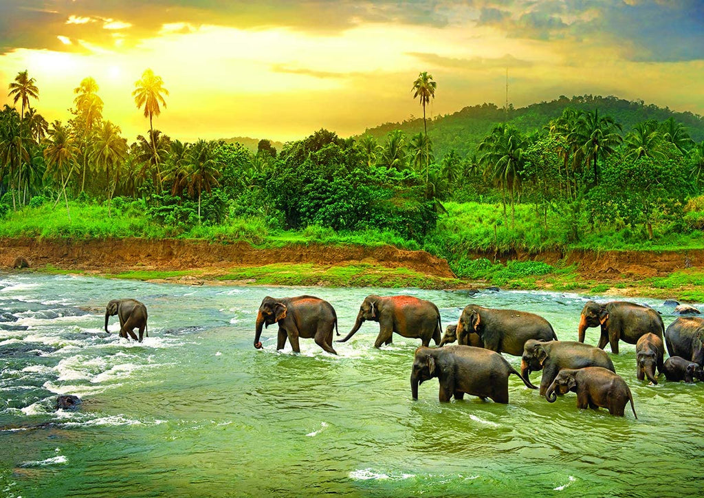 Asian Rainforest Wildlife - 1000 Piece Jigsaw Puzzle: Finished Size 29 in X 20 9780804855082 Asian Rainforest Wildlife - 1000 Piece Jigsaw Puzzle: Finished Size 29 in X 20 9780804855082